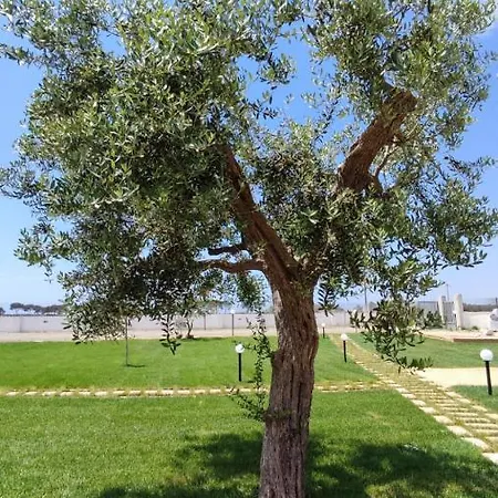 Armonia Galeta Nardò